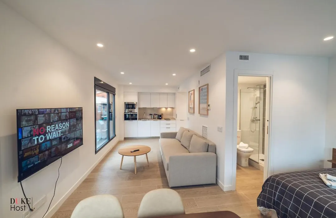Castilla Luxury A Apartments-1